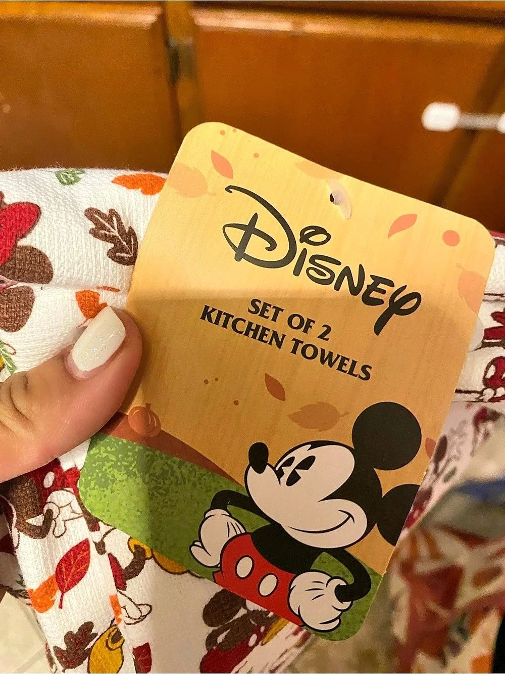 Brand NEW! Disney Mickey and Minnie Mouse Fall Kitchen Towels Set of 2
